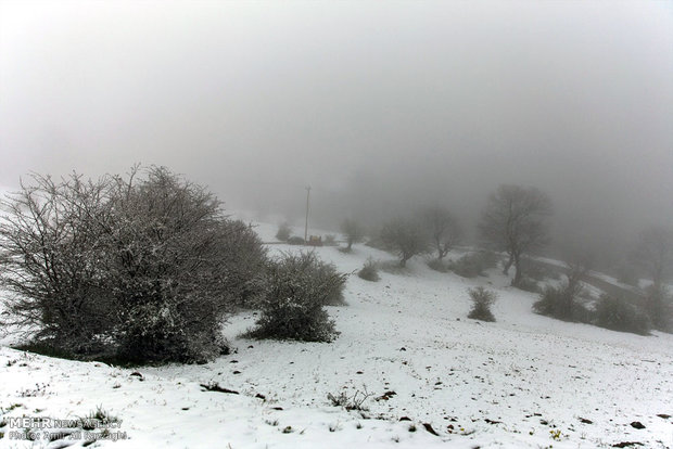 کولاک برف در ارتفاعات البرز/اختلال تردد به دلیل مه غلیظ