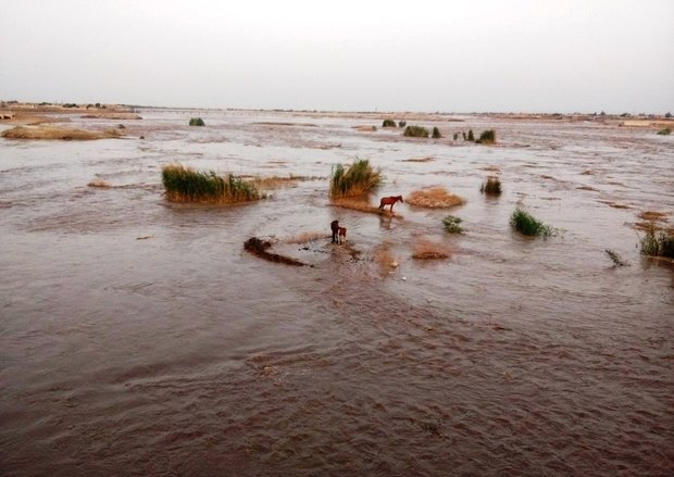 سیل خوزستان طغیان رودخانه دز