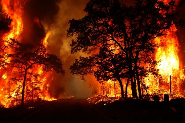آتش سوزی منطقه حفاظت شده کوه خامی در باشت مهار شد 3