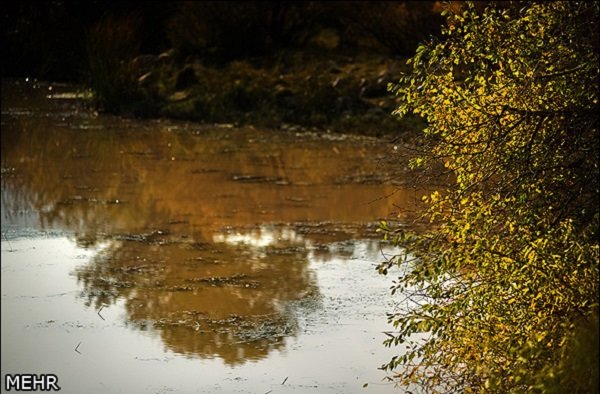 «ایلیسو» سدی بر گلوی ایران/ فاجعهای زیست محیطی در راه است 2 پایگاه خبری ججین پایگاه خبر ججین