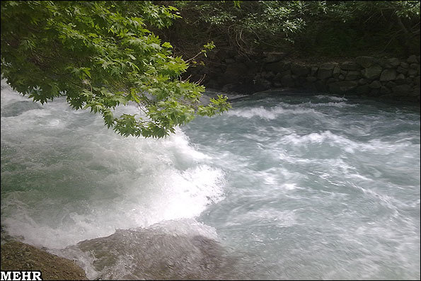 فیلم/صدای رودخانه کرج در دل طبیعت البرز می‌پیچید