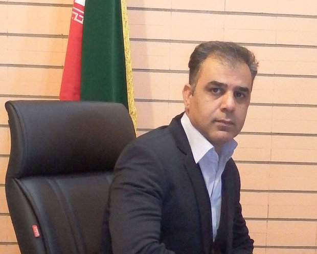 رسول شهابیان، مدیر امور سینمایی حوزه فارس