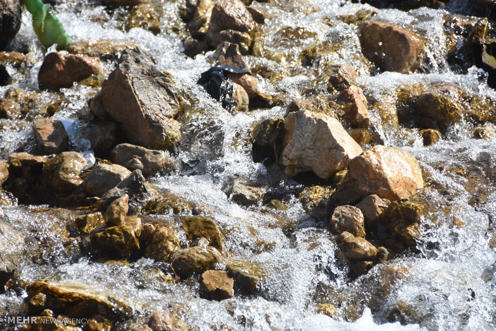 http://media.mehrnews.com/d/2016/05/15/4/2077168.jpg