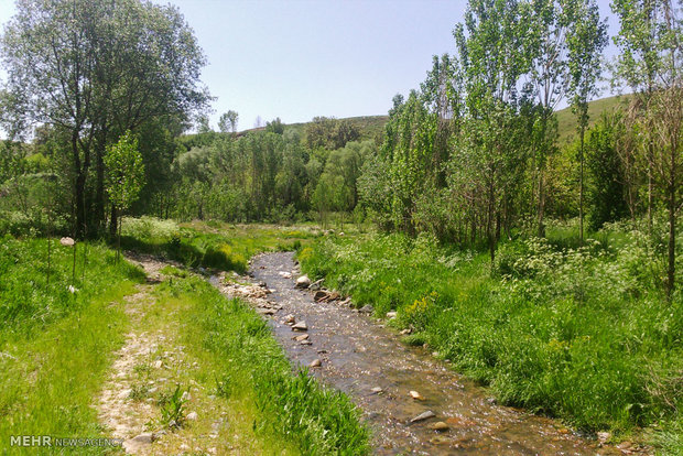 طبیعت روستای میاردان آذربایجان شرقی