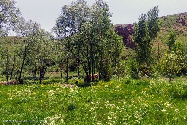 طبیعت روستای میاردان آذربایجان شرقی