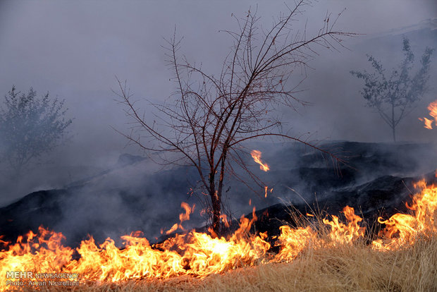 آتش سوزی در مراتع سنندج