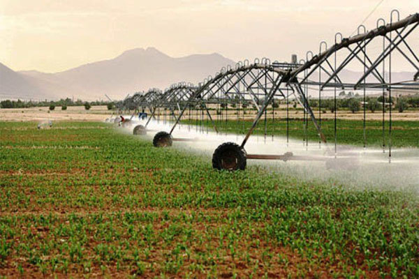 ۹۲هزار هکتار ازاراضی کشاورزی هرمزگان به سیستم آبیاری نوین مجهز شد