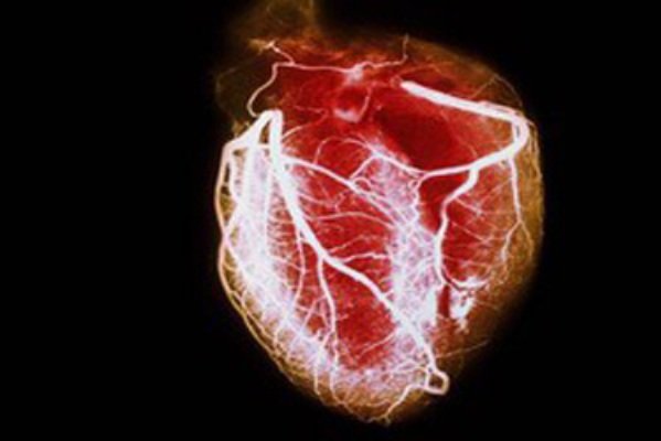 عضلات ساخته شده از سلول بنیادی به پزشکی قلبی عروقی کمک می کند