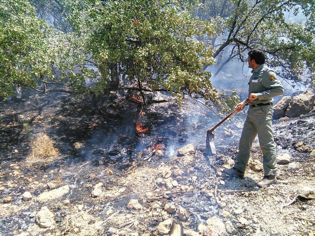 آتش سوزی در کمرزردی دنای شرقی مهار شد 3