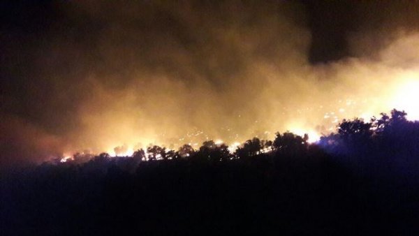 گردشگران عامل اصلی آتش سوزیهای اخیر درکهگیلویه وبویراحمد بودند 3