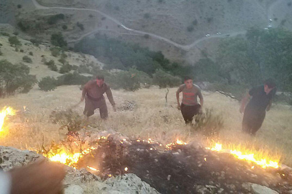 آتش سوزی در جنگل های بدره/سومین آتش سوزی طی ۳ روز گذشته در ایلام