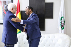 دیدار وزیر امور خارجه با نخست وزیر گینه کوناکری