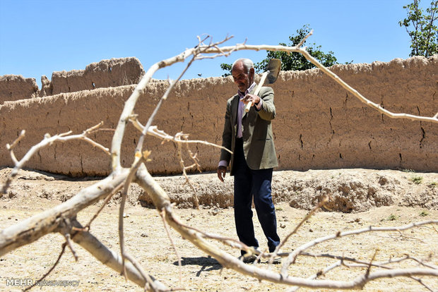 تشدید خشکسالی در بام ایران/خشک شدن۵۷ درصد چشمه‌ها و قنات‌ها