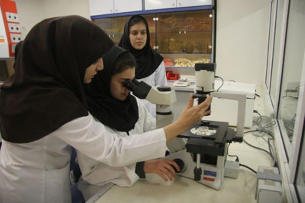 اعزام پژوهشگران جوان به مراکز معتبر علمی خارج از کشور