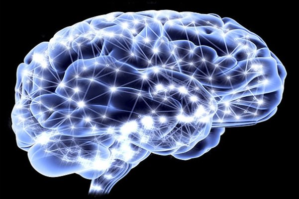 شناسایی سلول های مغز کنترل کننده پیری
