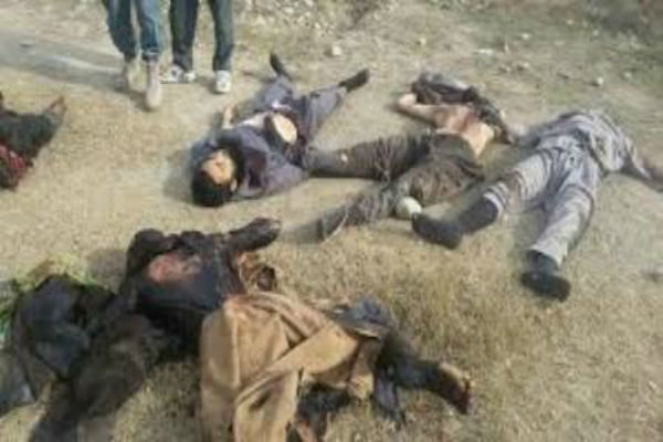 کشته طالبان