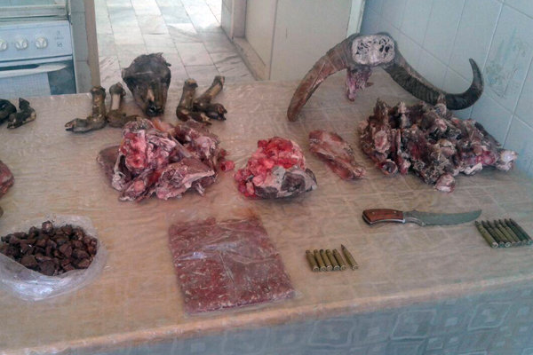 گوشت شکار - دستگیری شکارچی در شاهرود