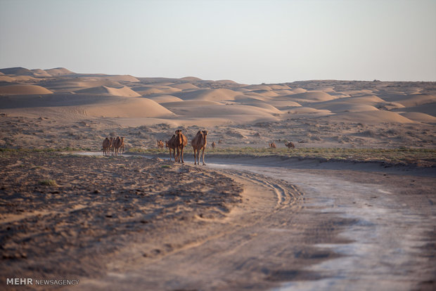 کویر مرنجاب