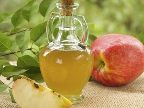 خواص سرکه سیب در کاهش وزن و حفظ سلامت روده ها