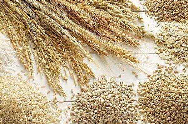 پروتئین گندم منجر به بروز مشکلات مزمن مرتبط با التهاب می شود