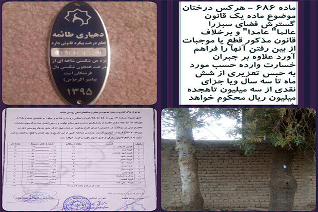 ۱۷۳ درخت در روستای «طائمه» نهاوند پلاککوبی شدند قطع درختان