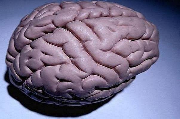 وجود تفاوت های مغزی در افراد مبتلا به اختلال بیش فعالی