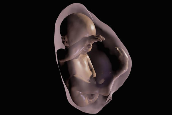 مشاهده جنین داخل رحم با واقعیت مجازی