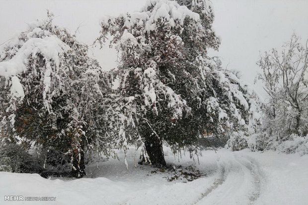 برف بی سابقه در روستاهای بخش چمستان شهرستان نور‎