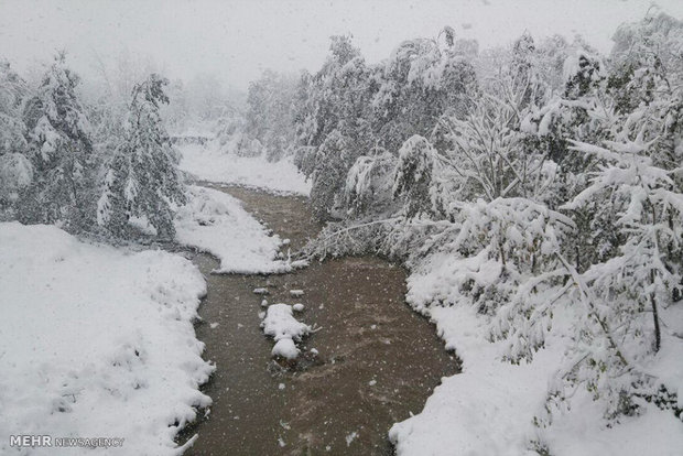 برف بی سابقه در روستاهای بخش چمستان شهرستان نور‎