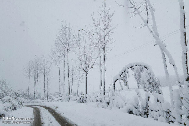 برف بی سابقه در روستاهای بخش چمستان شهرستان نور‎