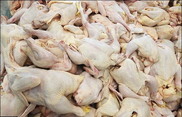 افزایش قیمت مرغ بعد محرم و صفر امر طبیعی است 