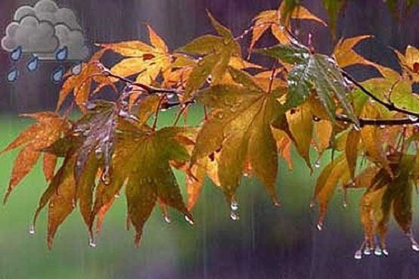 هوای استان ایلام آخر هفته بارانی است