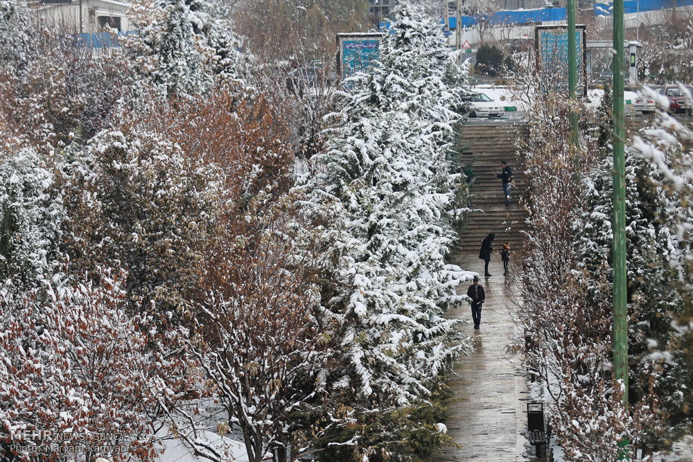 بارش برف امروز تهران