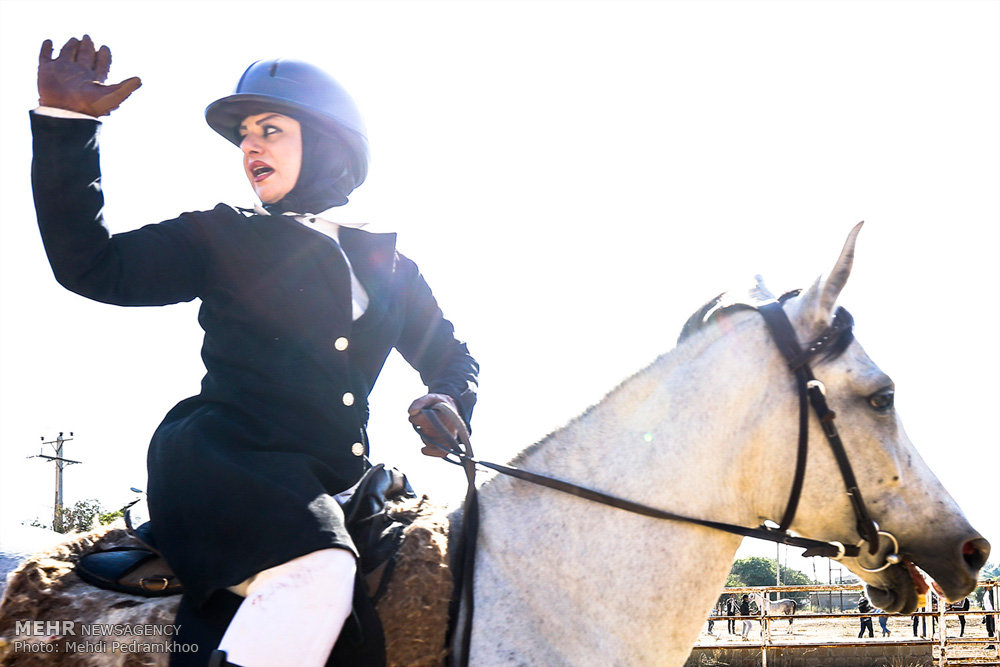 نخستین دوره کشوری مسابقه نمایش اسب‌های ورزشی