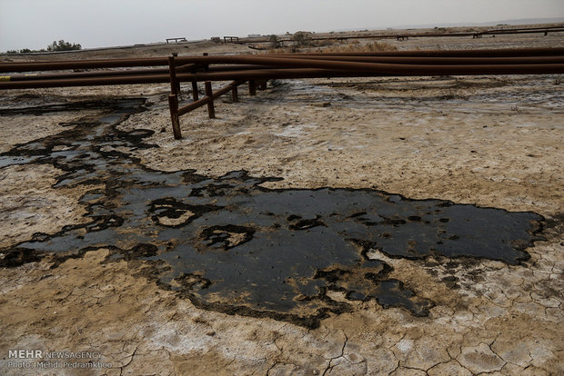 نشت نفت در اراضی کشاورزی منطقه دارخوین شادگان