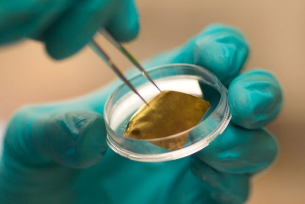 استخراج نانو کره طلا از لجن آندی تولید شده در صنایع مس سرچشمه