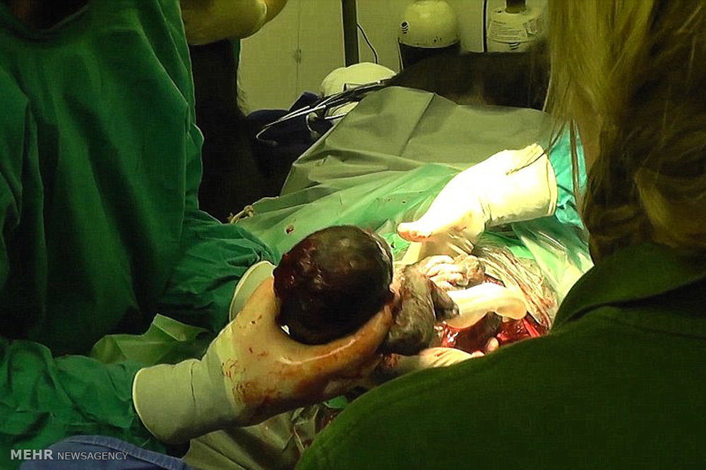 سپردن بچه گوریل به دست نامادری