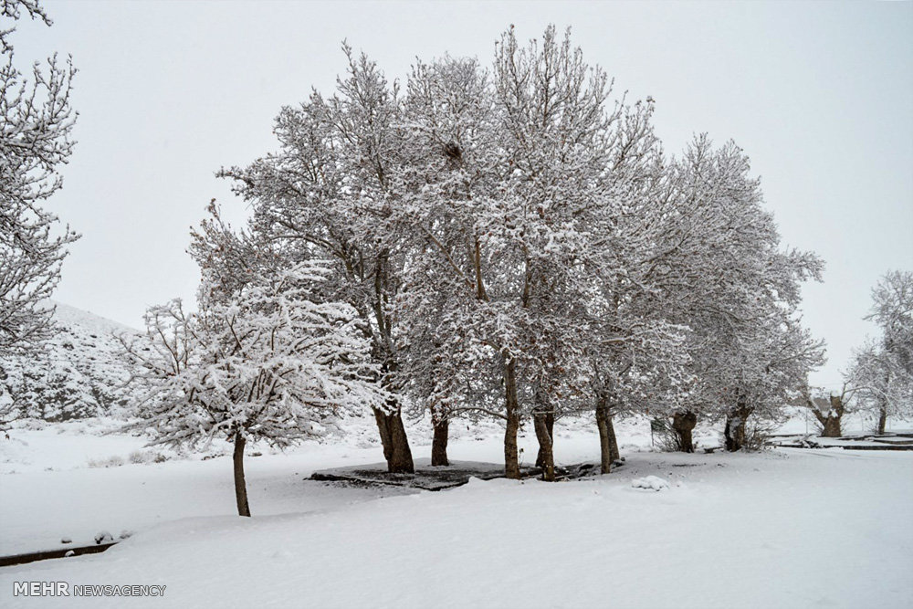 بارش برف در اولین روز زمستان در شهرستان میامی