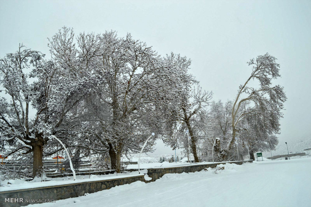 بارش برف در اولین روز زمستان در شهرستان میامی
