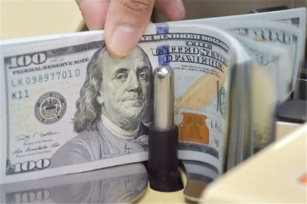 دلارهای رانتی در اقتصاد ایران/ دولت ارز را قیمت‌گذاری نکند