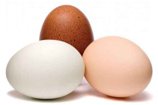 عمده استان‌های تولیدکننده تخم مرغ درگیر آنفلوانزا شدند