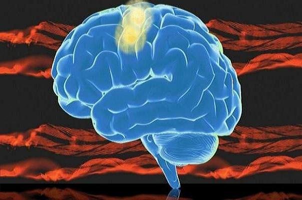 برهم خوردن تصورات پیشین درباره میزان فعالیت مغز انسان
