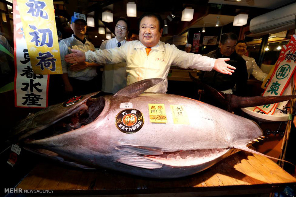 بازار ماهی تن در ژاپن‎