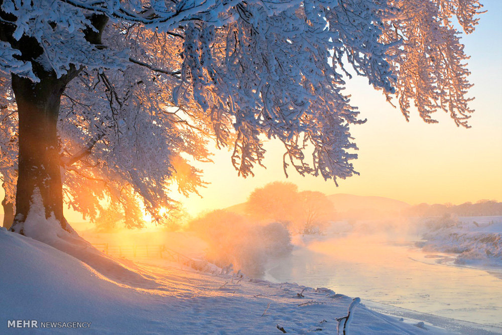زیباترین تصاویر فصل زمستان