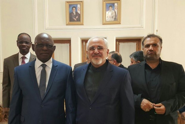 دیدار رئیس مجلس جمهوری مالی با ظریف