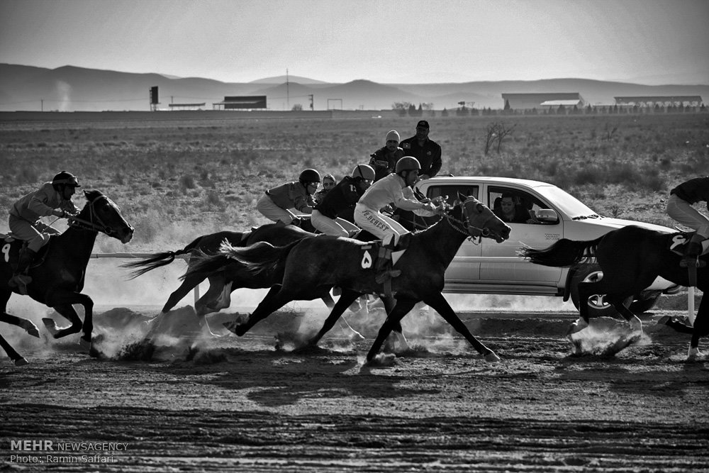 مسابقات کورس اسب دوانی قهرمانی کشور در مشهد