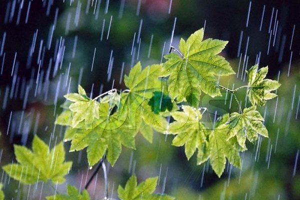 بارش گسترده باران استان کرمانشاه را فرا می‌گیرد