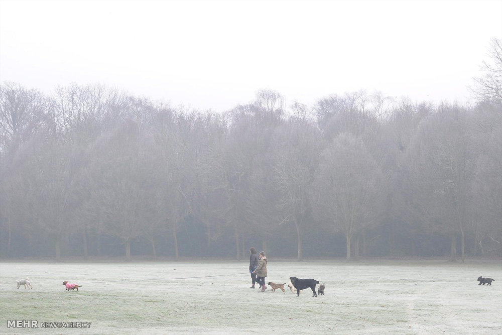 هوای سرد و مه آلود در انگلیس