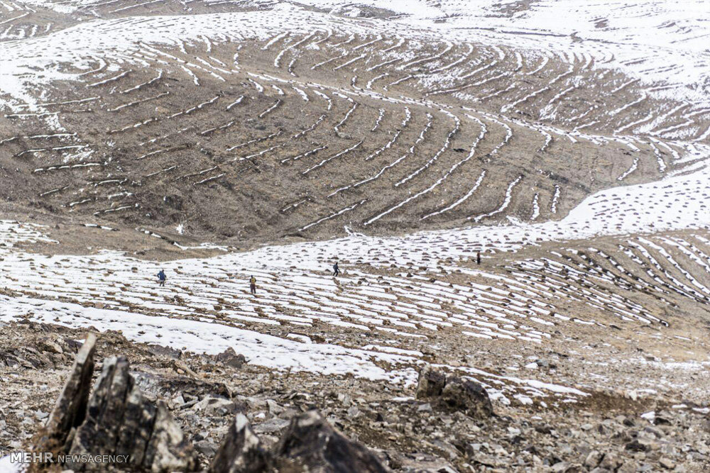 تفریحگاه بند قرغه کابل در فصل زمستان