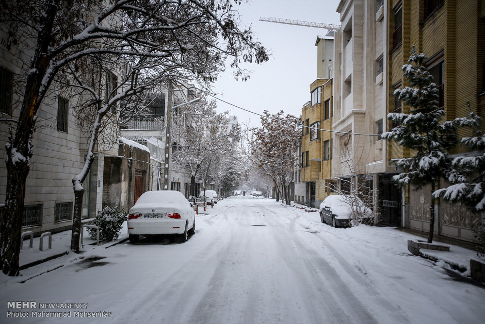 بارش برف زمستانی در مشهد مقدس